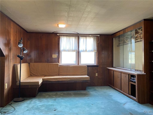 unfurnished room with wood walls and light colored carpet