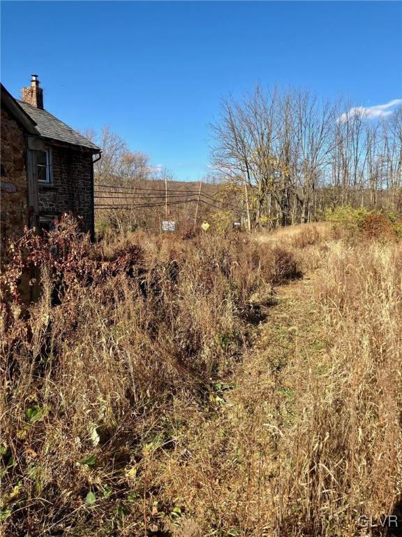 view of yard with a rural view