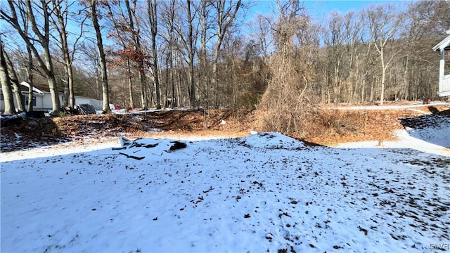 view of yard covered in snow