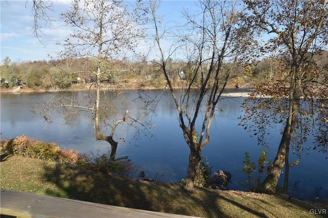 view of water feature