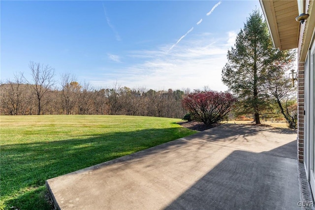 view of yard featuring a patio