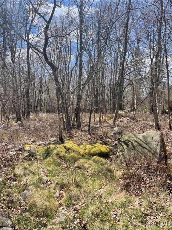 Buck Hill Rd Unit 72, Tunkhannock Township, PA 18610 - view of local wilderness