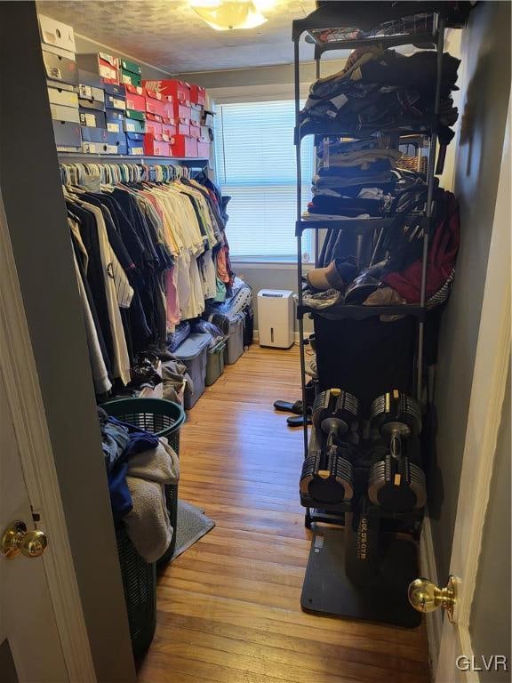 walk in closet with hardwood / wood-style flooring