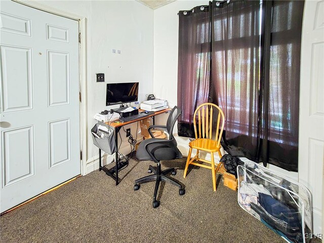 office featuring carpet flooring