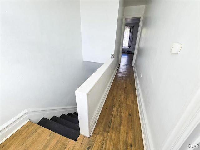 hall with dark wood-type flooring