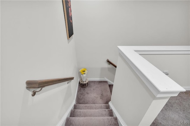 stairway featuring carpet flooring