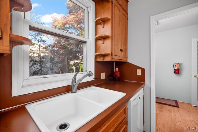 kitchen featuring dishwasher, light wood-type flooring, and sink