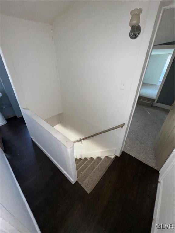 stairway with wood-type flooring