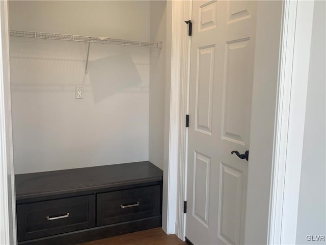 mudroom featuring dark wood-type flooring