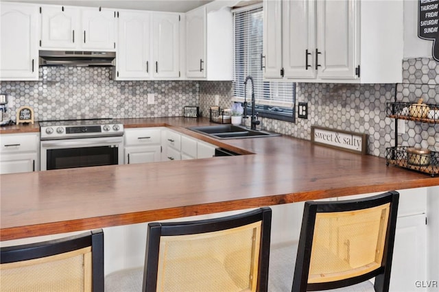 kitchen with stainless steel range with electric cooktop, ventilation hood, sink, decorative backsplash, and white cabinetry