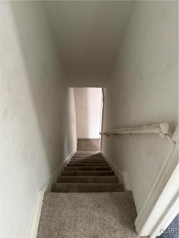 stairs with carpet flooring