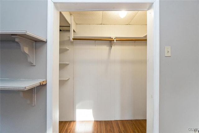 spacious closet with hardwood / wood-style floors