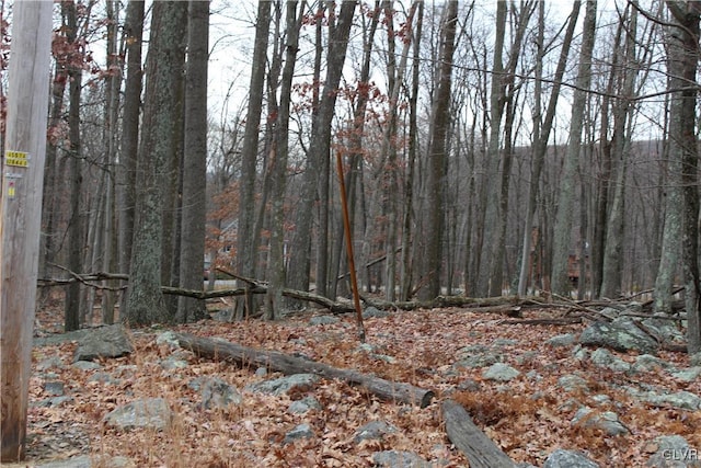 view of local wilderness