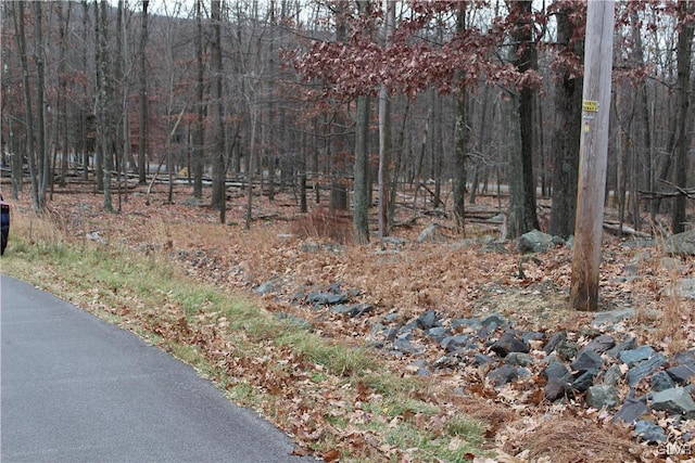 view of landscape