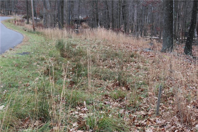 view of landscape