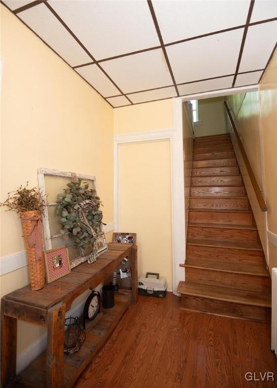 stairway featuring a drop ceiling and wood-type flooring