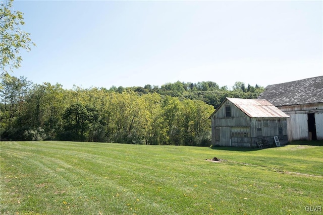 view of yard with an outbuilding