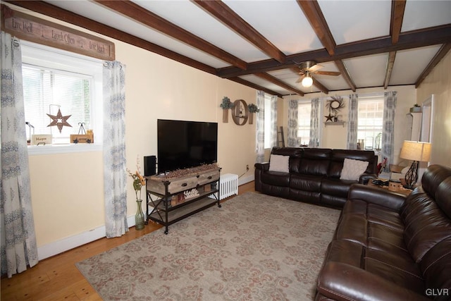 living room with beam ceiling, light wood-type flooring, a wealth of natural light, and ceiling fan