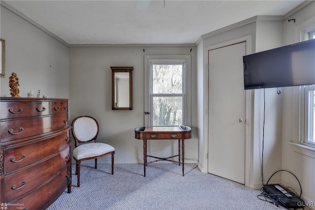 3479 Mango Dr, Lehigh Township, PA 18038 - living area featuring carpet floors, baseboards, and ornamental molding