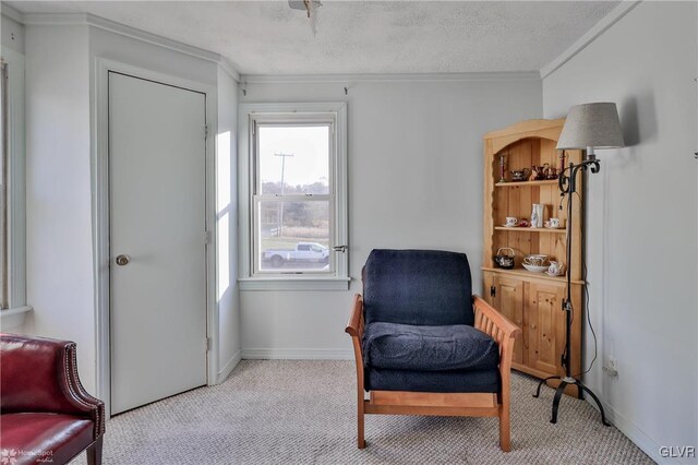 3479 Mango Dr, Lehigh Township, PA 18038 - sitting room with carpet, crown molding, and baseboards