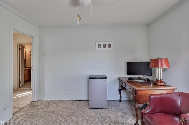 3479 Mango Dr, Lehigh Township, PA 18038 - office space featuring carpet, crown molding, and baseboards