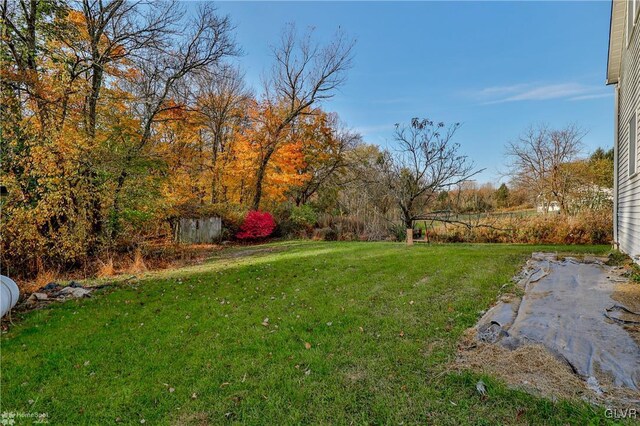 3479 Mango Dr, Lehigh Township, PA 18038 - view of green lawn