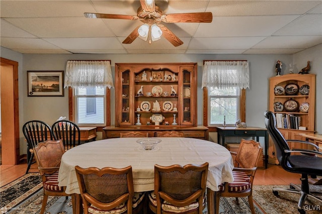 dining room featuring hardwood / wood-style floors, ceiling fan, and a drop ceiling