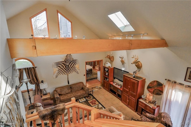 living room featuring lofted ceiling