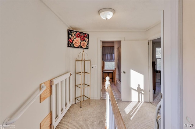 hallway featuring light carpet