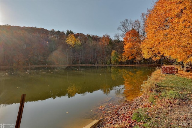 3479 Mango Dr, Lehigh Township, PA 18038 - water view with a forest
