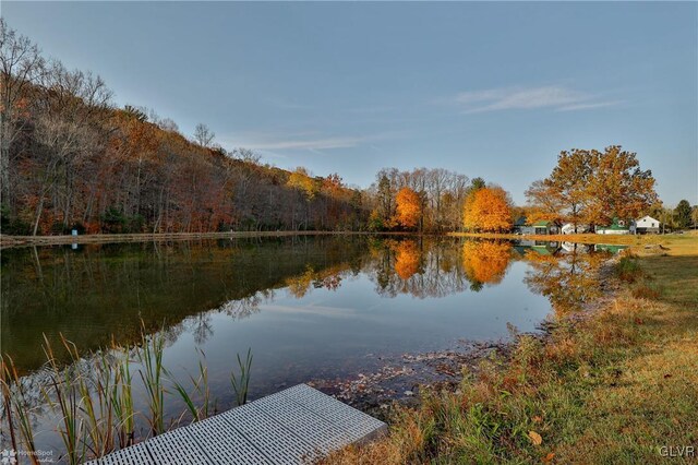 3479 Mango Dr, Lehigh Township, PA 18038 - dock featuring a view of trees and a water view