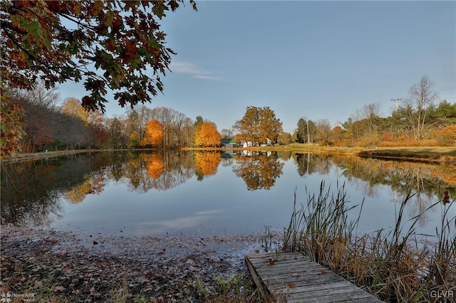 3479 Mango Dr, Lehigh Township, PA 18038 - dock area with a water view