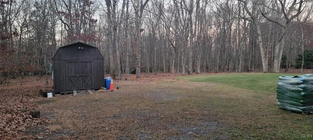 view of yard with a storage shed