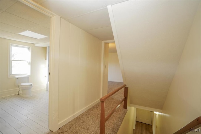 stairs featuring wood-type flooring