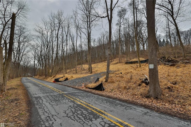 view of road