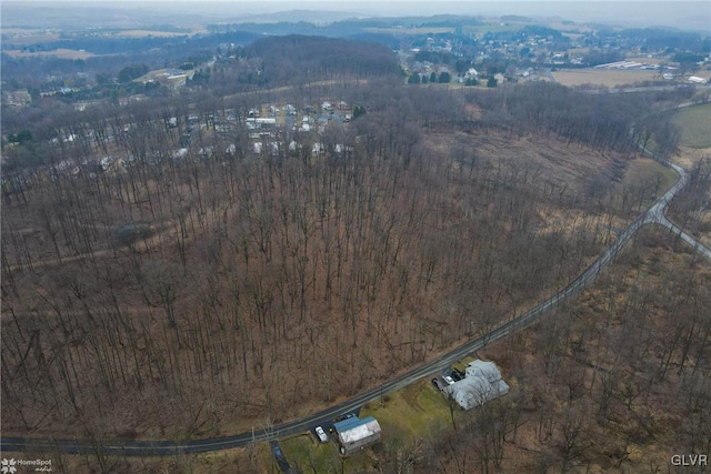 bird's eye view