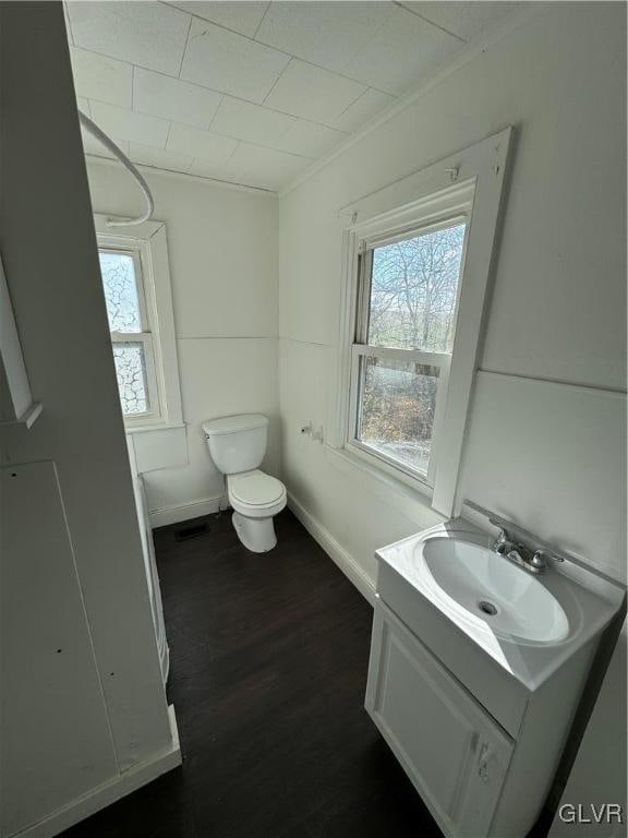 bathroom featuring hardwood / wood-style floors, vanity, toilet, and a healthy amount of sunlight