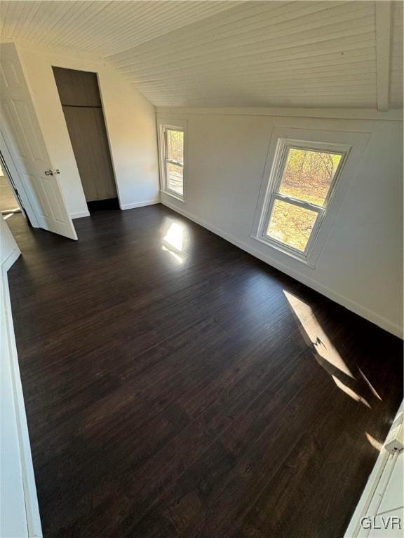 unfurnished room with dark hardwood / wood-style flooring, a wealth of natural light, and vaulted ceiling