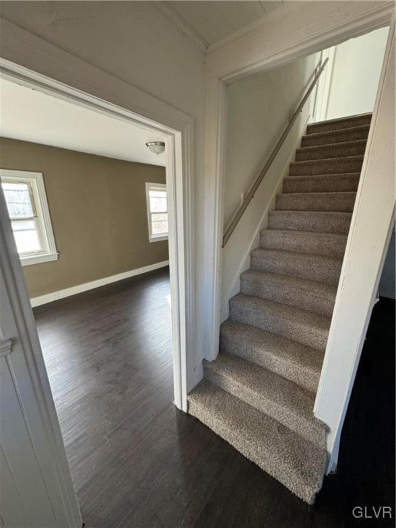 stairs with a healthy amount of sunlight and wood-type flooring