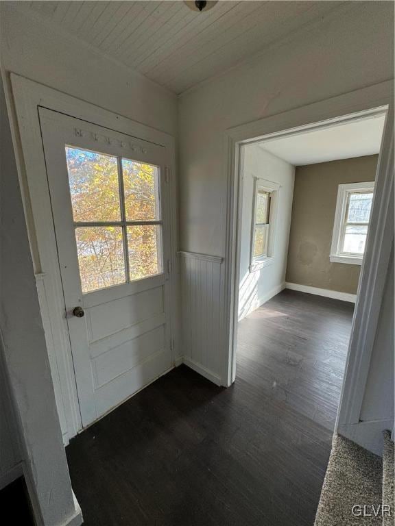 entryway with dark wood-type flooring and a healthy amount of sunlight