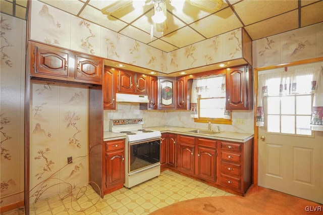 kitchen featuring electric range, sink, ceiling fan, and a drop ceiling