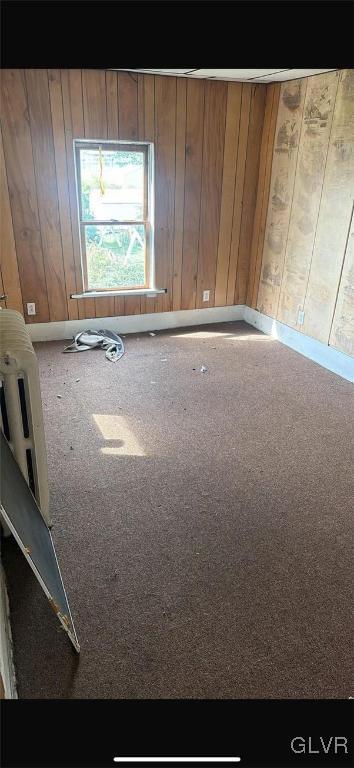 interior details featuring wood walls and carpet