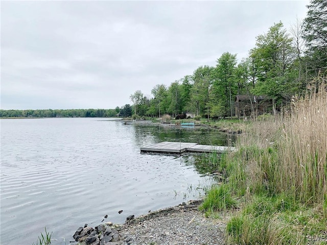 water view with a boat dock