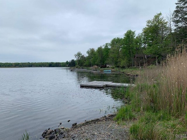 water view with a dock