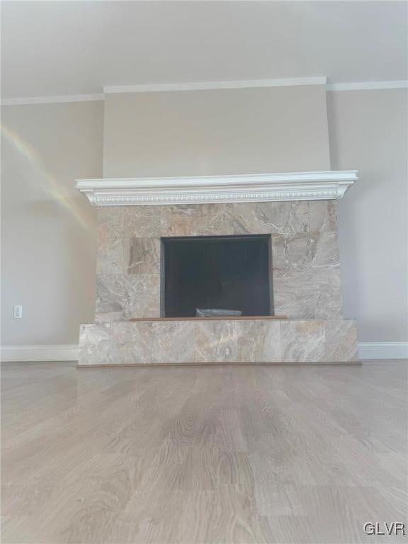 room details featuring a stone fireplace, crown molding, and wood-type flooring