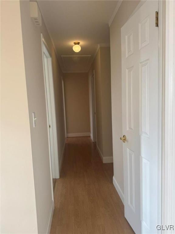 hallway with light wood-type flooring and crown molding