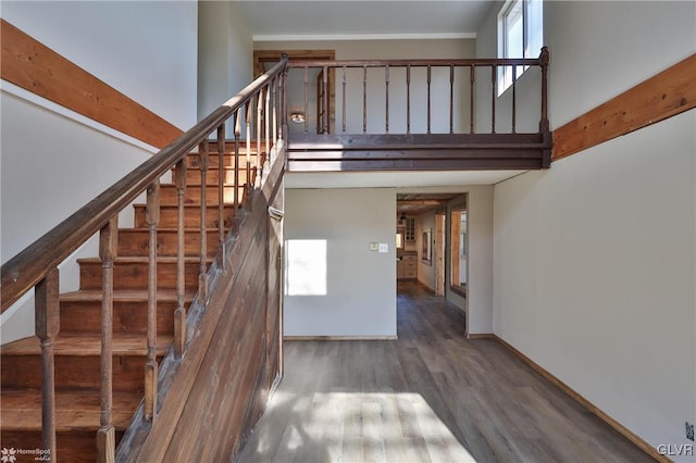 stairway with hardwood / wood-style floors