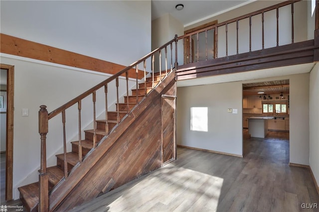 staircase with wood-type flooring