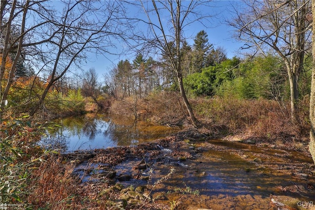 view of water feature