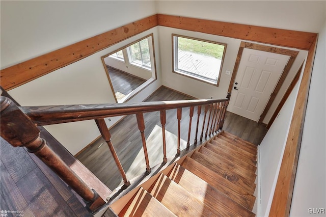 stairway featuring hardwood / wood-style floors